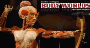 New Body Worlds Vital Exhibition opens this March in Johannesburg