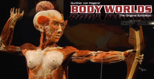 Win Tickets to the Body Worlds Vital Exhibition