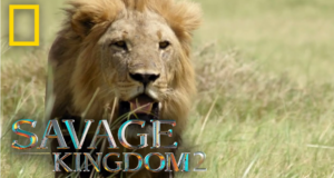 Savage Kingdom 2